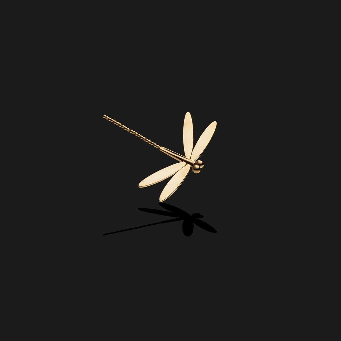 dragonfly (Minh Studio)